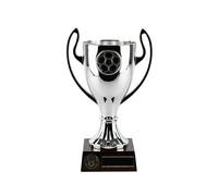SilverTrophy: Football Silver Cup Award, Winners, Champions, Man of the Match, Players' Player, Team, School Club, Kids Party, Prize, Competition, Tournament, Personalise, Soccer 18.5cm Trophy