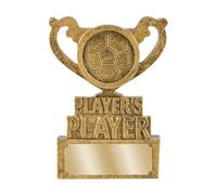 SilverTrophy: Player's Player Trophy, Football Player of the Match Award, School Club Competition, Soccer Tournament, Kids Sports Party, Winner, Personalise Engraving Plate, Gold Mini Cup Gift