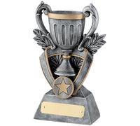 SilverTrophy: Silver Trophy Achievement Award Cup, Sports, Corporate, School, Academic, Kids, Motivation, Success, Winners, Champion, Engraving Plate Included, Silver & Gold Finish.