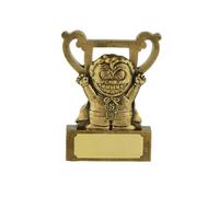 SilverTrophy: Super Hero Gold Trophy - Kids Party School Gift, Winner, Champion, Participation, Recognition, Well Done, Achievement, Motivation, Encourage, Smile, Office Work Competition.