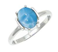 SILVERTROVE Larimar Gemstone Men & Women Band Ring All Size Gift Item Silver Plated Ring Handmade Jewelry CRG1255BF_4_(J 1/2)