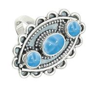 SILVERTROVE Larimar Gemstone Silver Plated Band Ring Men & Women All Size Gift Item Handmade Jewelry CRG1274BF_20_(R 1/2)