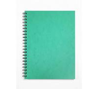 Silvine A4+ Wirebound Notebook (Pack Of 6) Green (One Size)