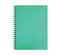 Silvine Luxpad Hardback Wirebound Notebook A4 + (Pack of 6) SPA4FEINT