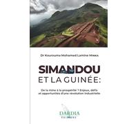 Simandou et la Guinée : De la mine à la prospérité ? Enjeux, défis et opportunités d’une révolution industrielle