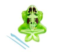 Simba Scout Dissect-It Frog for Dissecting, 16 cm, Skeleton and Organs to Assemble, Refill Kit, Tools, Ages 5+