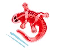 Simba Scout Dissect-It Salamander, Dissecting, 14 cm, Skeleton and Organs to Assemble, Refill Kit, Tools, from 5 Years
