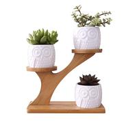 Simcat 3pcs Ceramic Succulent Pots With 3 Tier Bamboo Saucers Stand Holder