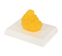SimCoach Human Body Fat Replica, Fat Tissue Model, Weight Loss Motivation Reminder, Demonstration Tool for Nutritionists, 0.44LB