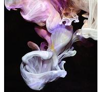 SIMIAN MOBILE DISCO - Murmurations