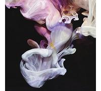 Simian Mobile Disco - Murmurations [VINYL]