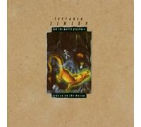 Simien, Terrance - Zydeco on the Bayou