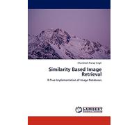 Similarity Based Image Retrieval: R-Tree Implementation of Image Databases