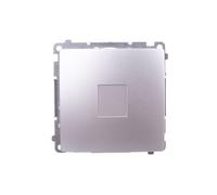 Simon Basic Frame Cap Silver Matte BMPS.01/43