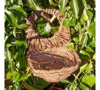 Simon King Blackbird Nester