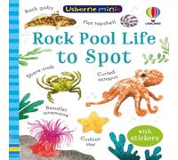 Simon Tudhope Rock Pool Life to Spot Paperback Book Simon Tudhope Multicolor