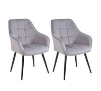 simpa 2PC Velvet Tub Accent Dining Chairs in Grey simpa Grey