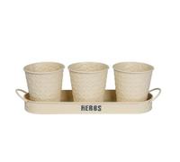 Simpa 3Pc Cream Herb Pot Planters With Embossed Decorative Finish & Tray