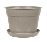 Simpa 5Pc Cream Compostable Plant Pot & Saucer Set 19Cm (Dia)