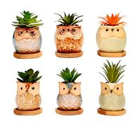simpa 6PC Assorted Shaped Owl Ceramic Plant Pots with Bamboo Base simpa Multicolor