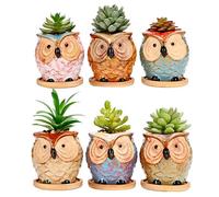 Simpa 6Pc Big Eye Owl Ceramic Plant Pots With Bamboo Base