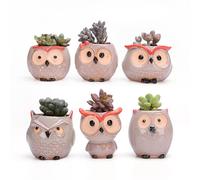simpa 6PC Comic Owl Ceramic Plant Pots with Bamboo Base simpa Multicolor