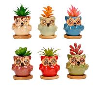 simpa 6PC Flower Eye Owl Ceramic Plant Pots with Bamboo Base simpa Multicolor