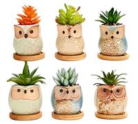 Simpa 6Pc Funky Owl Themed Ceramic Plant Pots With Bamboo Base