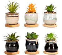 simpa 6PC Mixed Shape Pattern Ceramic Plant Pots with Bamboo Base simpa Multicolor