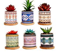 Simpa 6Pc Natural Pattern Ceramic Plant Pots With Bamboo Base