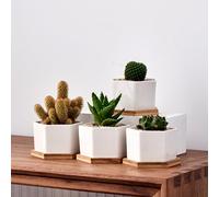 Simpa 6Pc White Hexagonal Ceramic Plant Pots With Bamboo Base