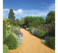 simpa Kensington Gold Self Binding Gravel Bag 20kg simpa Gold