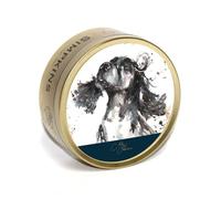 Simpkins - Meg Hawkins - Spaniel Tin with Mixed Fruit Drops - Travel Sweets 175g - Pack of 1