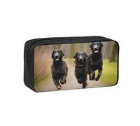 Simple and Spacious Trotting Flat Coated Retrievers Paw Print Pen case Zippered Organizer for Pens Markers Small Stationery