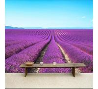 Simple Beautiful Sky Purple Lavender Modern 3D Wallpaper Premium Textured Silk Neutral Tones Material Ideal for Living Room Bedroom-300cm×210cm