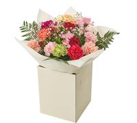 Simple Beauty Bouquet Fresh Flowers - Carnation Autumn Arrangement Florals for celebrating Birthdays, Get-Well, Anniversary, Thoughtful Gifting, Floral occasions, Sympathy, Long-Lasting Blooms
