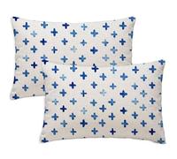 Simple Cushion Covers 50x80 cm Large Rectangle Garden Cushion Covers Set of 2 Soft Throw Pillow Cases Element Patterned Double Sided Printing for Garden Furniture Bench Car Farmhouse Decor, Gift S-867