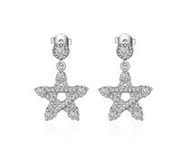 Simple Earrings for Women, Silver Earrings for Women Stud Cubic Zirconia Star 14.5X20mm for Wife New Year Jewelry Upgrade