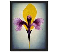 Simple Elegant Single Orchid Purple Yellow Artwork Framed Wall Art Print A4 Artery8 Black One Size