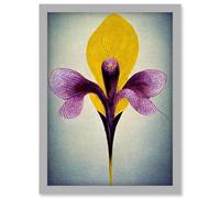 Simple Elegant Single Orchid Purple Yellow Artwork Framed Wall Art Print A4 Artery8 Light Grey One Size
