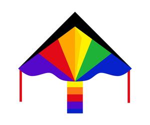 Simple Flyer Single Line Kite Rainbow 120cm Easy to Fly