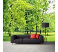 Simple Fresh Green Woods Meadows Modern 3D Wallpaper Premium Textured Silk Neutral Tones Material Ideal for Living Room Bedroom-300cm×210cm