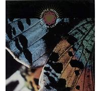 Simple Minds - See the lights [VINYL]