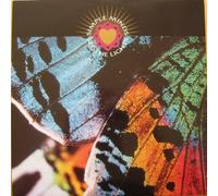 Simple Minds - See The Lights - Virgin - VST 1343, Virgin - 614 300