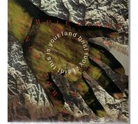 Simple Minds - This Is Your Land Full Length Version / Saturday Girl [7" Vinyl]