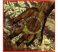 Simple Minds - This Is Your Land - Virgin Schallplatten GmbH