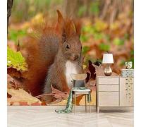 Simple Three Dimensional Forest Animal Squirrel 3D Wallpaper Easy Install Feature Office Living Room Sofa Bedroom TV Background Wall Decoration-430cm×300cm