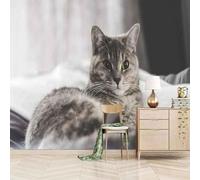 Simple Three Dimensional Grey Animal Kitten 3D Wallpaper Premium Textured Silk Study Dining Living Room Bedroom Sofa TV Wall Easy Install-250cm×170cm