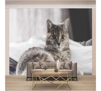Simple Three Dimensional Grey Animal Kitten 3D Wallpaper Textured Silk Easy Install Living Room Sofa Bedroom Dining Room Home Decoration Wall-200cm×140cm
