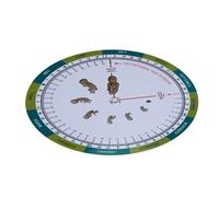 Simple to Install Pregnancy Measurement Wheel for Parents Midwives Health Workers Quick Development Reference Growth Following Tool